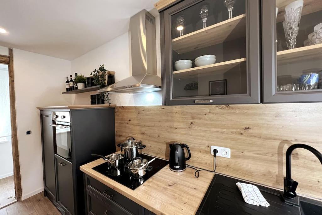Ar Apartments III I 4 Pers I Modern I Schillerapartment Rudolstadt Εξωτερικό φωτογραφία